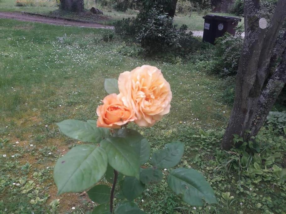 Richarville La Parenthese Campagnarde 아파트 외부 사진